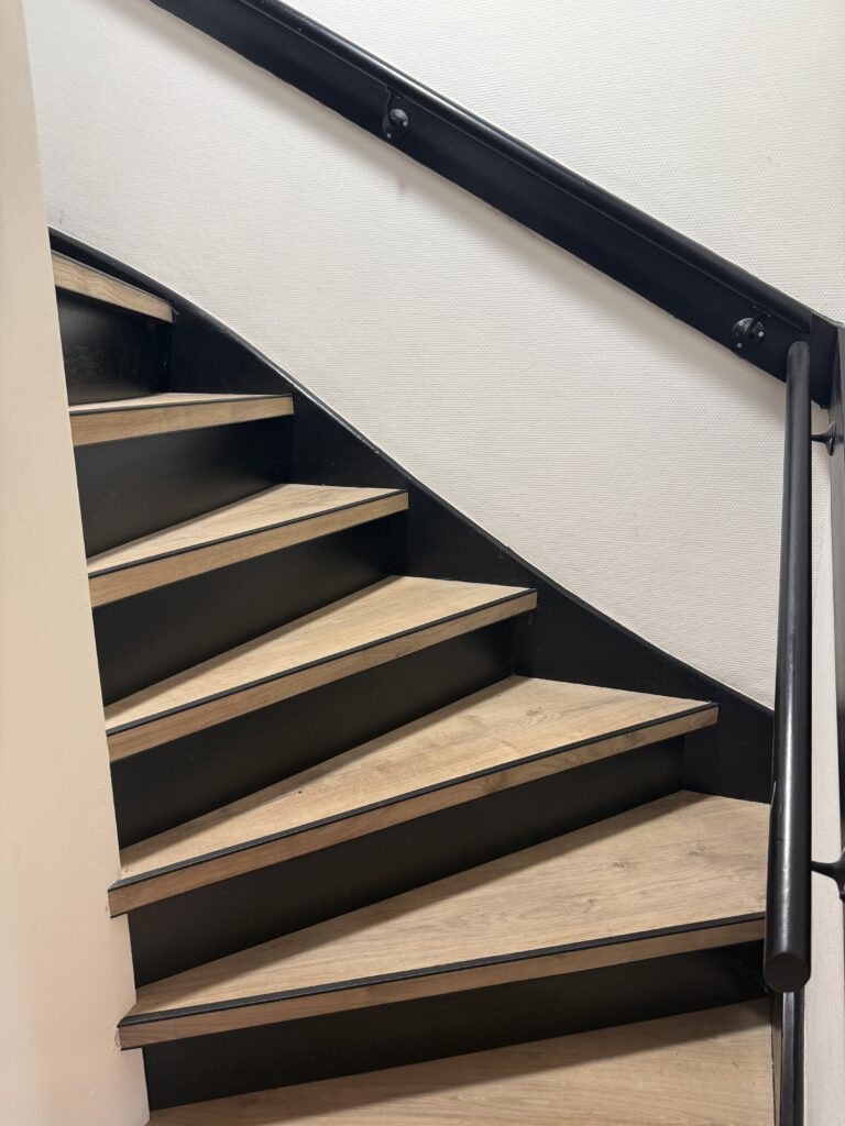 img 0295